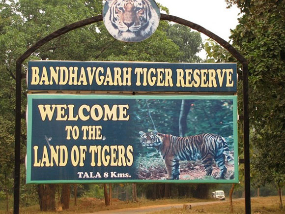 Los mejores parques nacionales de la India: Parque Nacional de Bandhavgarh