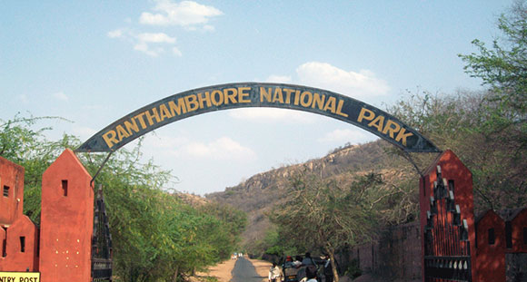 Los mejores parques nacionales de la India: Parque Nacional Ranthambore