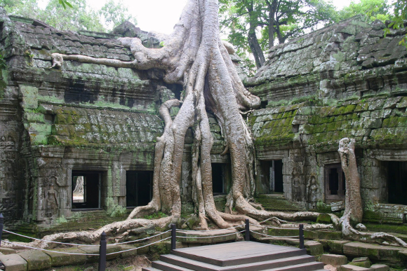 Viaje a Camboya: Siem Riep, Templo Ta Phrom
