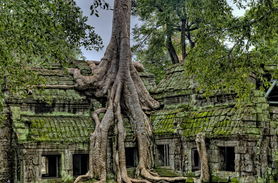 Templos de Angkor en Camboya