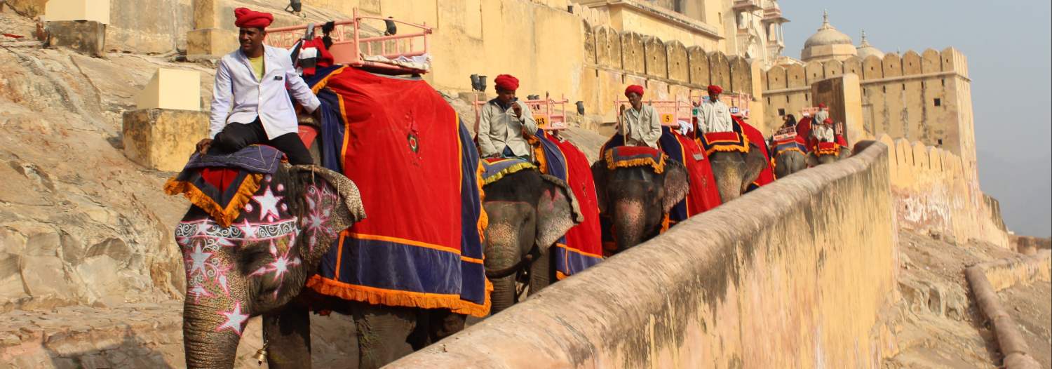 Opinión de Zigor y Laura del viaje a India: Jaipur Opinión de Zigor y Laura del viaje a India: Jaipur