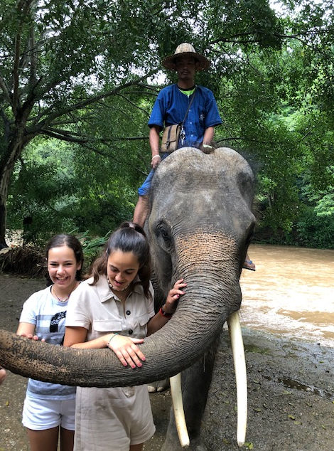 Safari en elefante en Chiang Mai