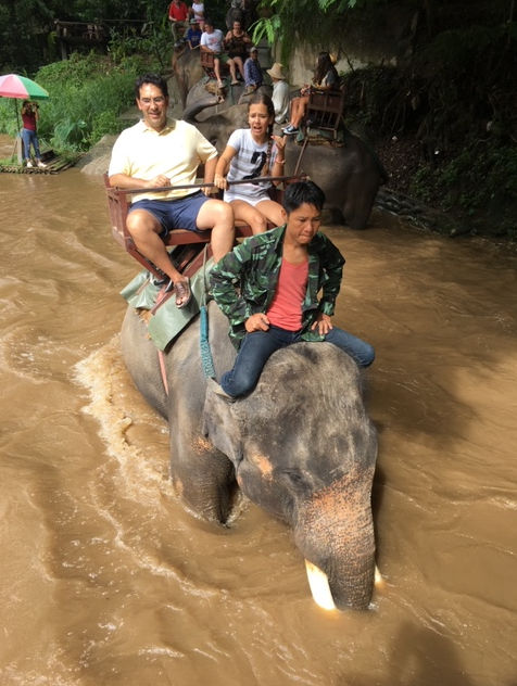 Safari en elefante en Chiang Mai