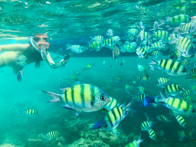 Snorkel en las islas Phi Phi