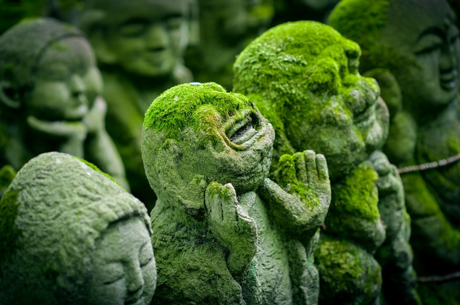 Viaje a Japón: Kyoto Viaje a Japón: Kyoto